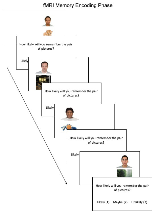 Diagram of the study encoding task flow.