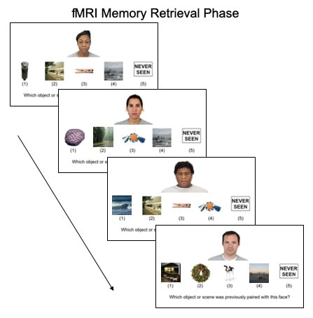 Diagram of the study retrieval task flow.